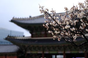 人人影视在线观看日韩剧分区，展示日本和韩国热播剧集海报，风格清新
